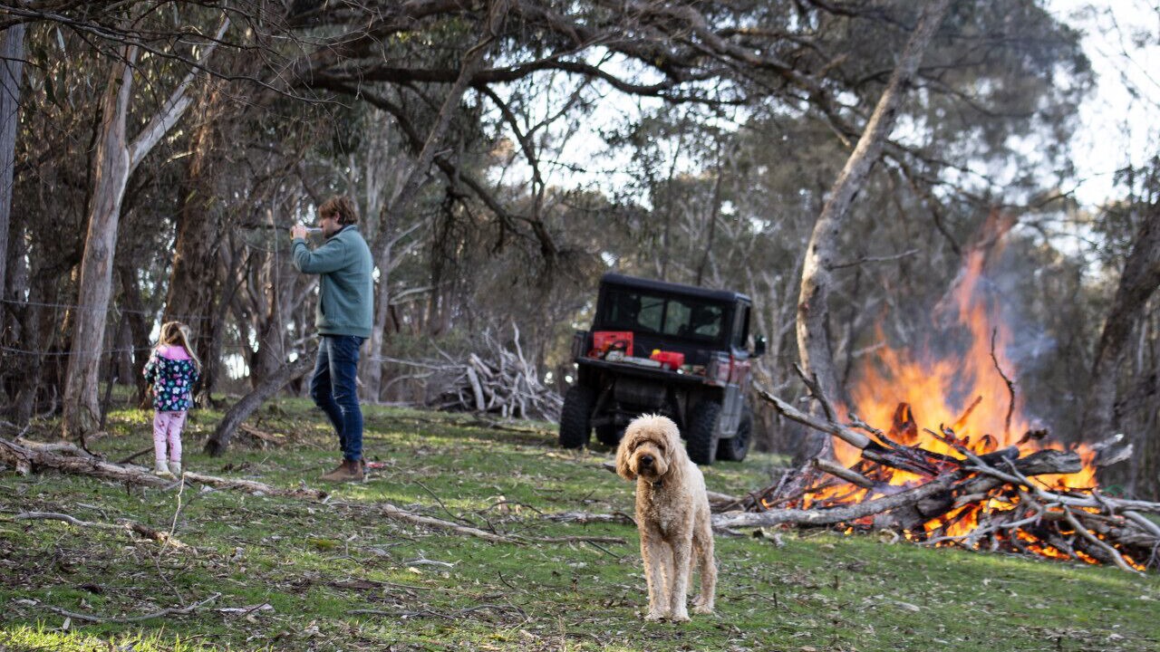 Photo of Others in Merton