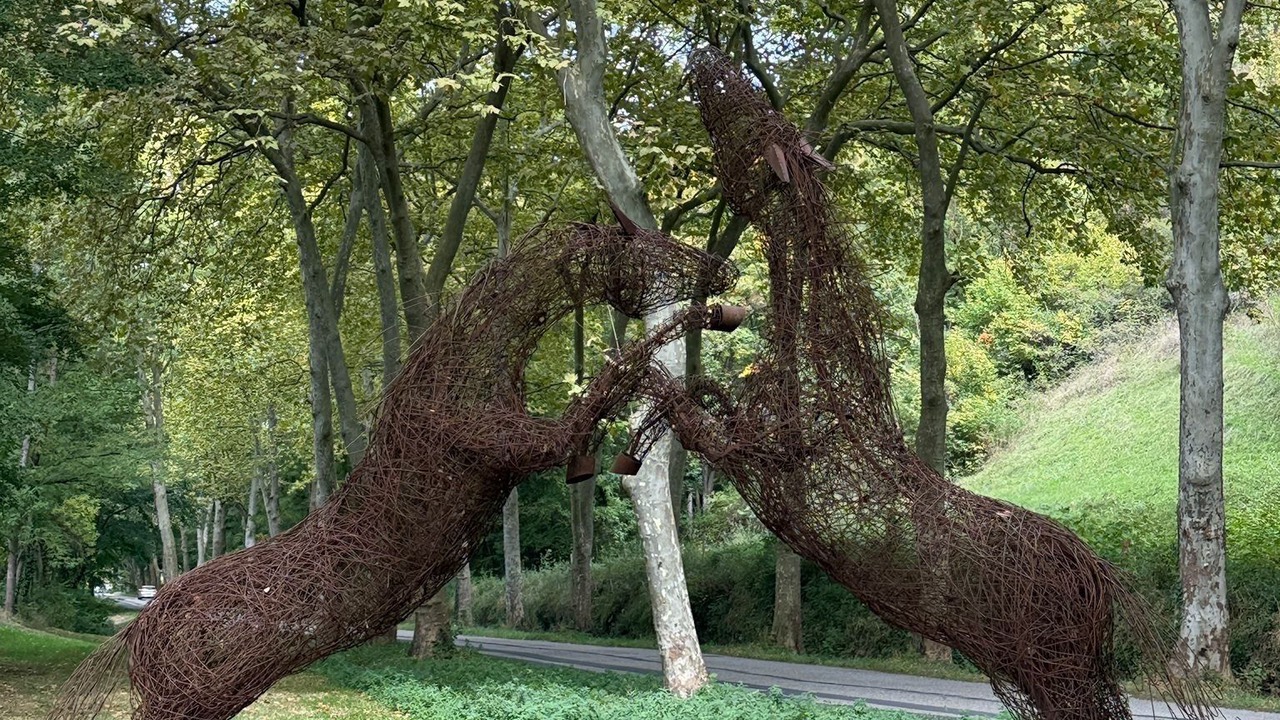 Photo of Others in Chalabre