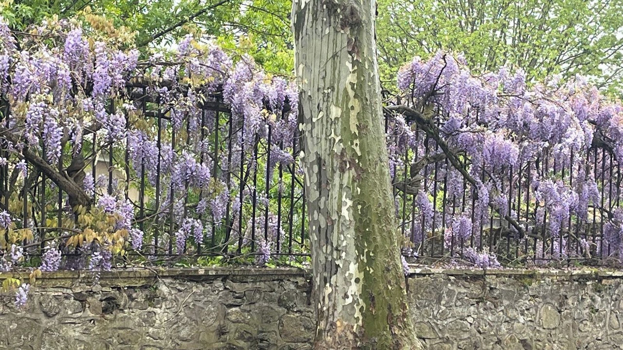 Photo of Others in Chalabre