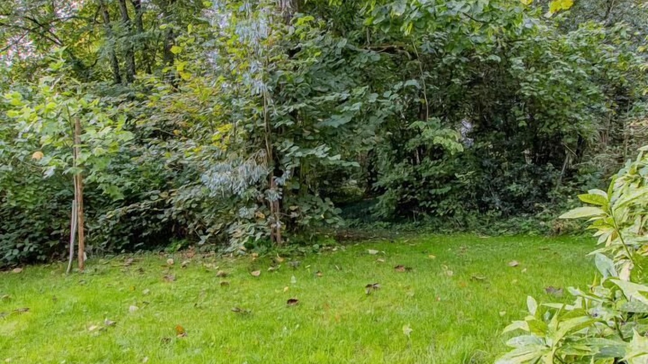 Photo of Others in Couches