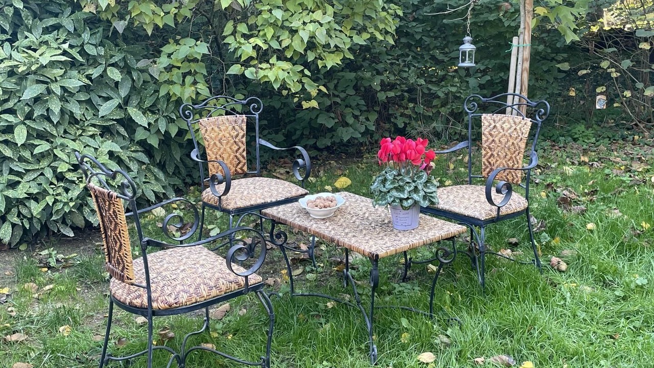 Photo of Outdoor in Couches