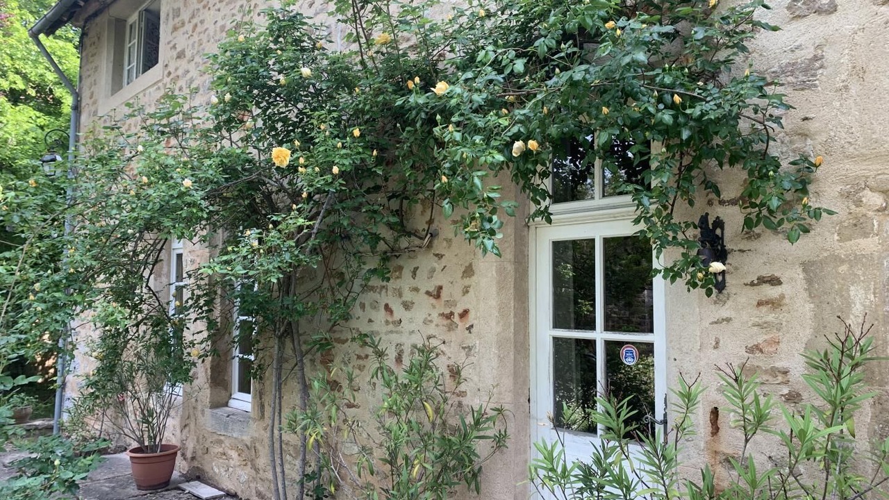 Photo of Outdoor in Couches