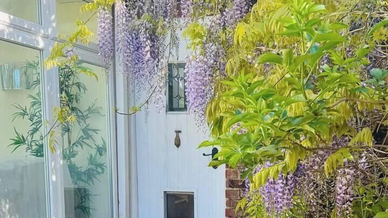 Photo of Others in Langdon