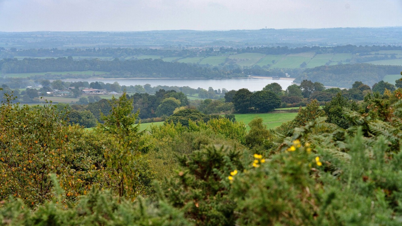 Photo of Others in Holestone Moor