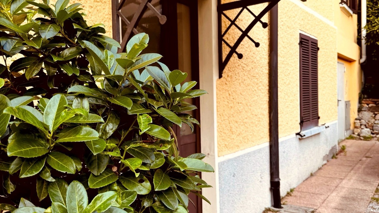 Photo of Outdoor in Genestrerio