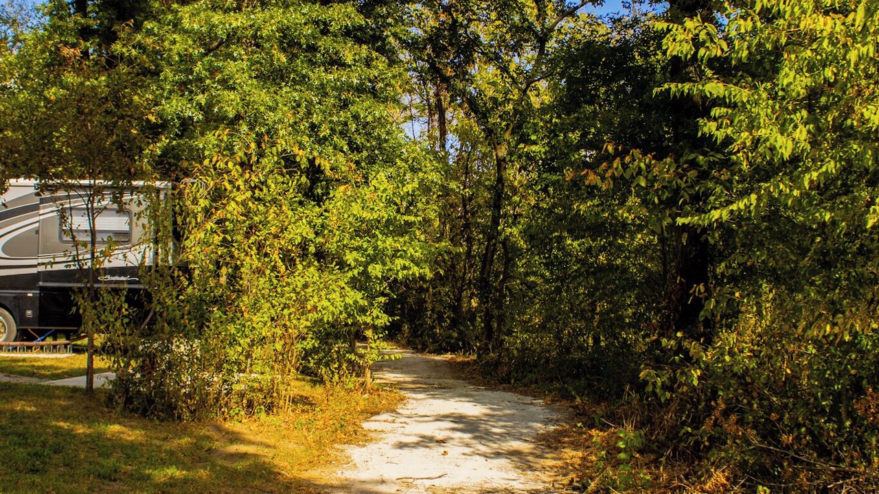 Photo of Outdoor in Archie