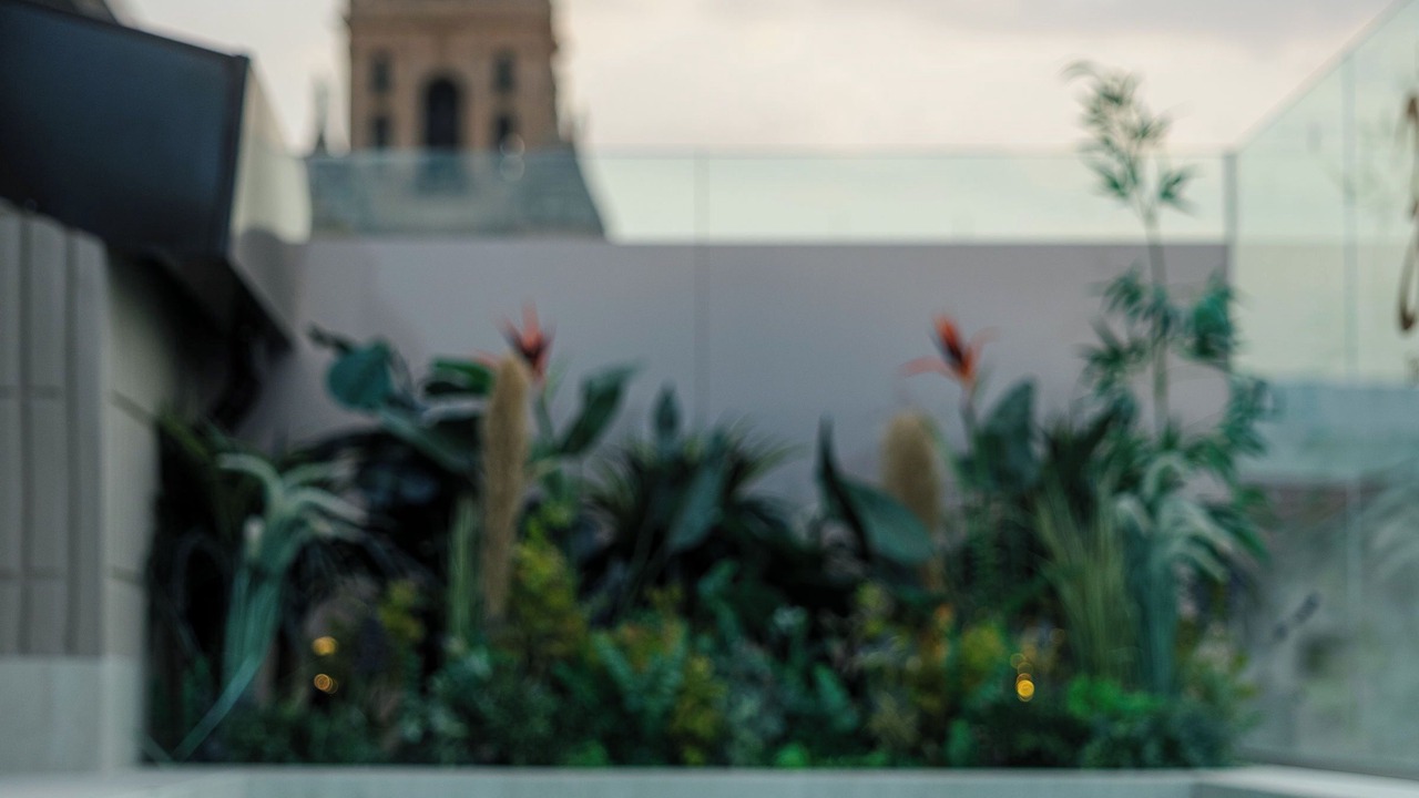 Photo of Outdoor in Murcia
