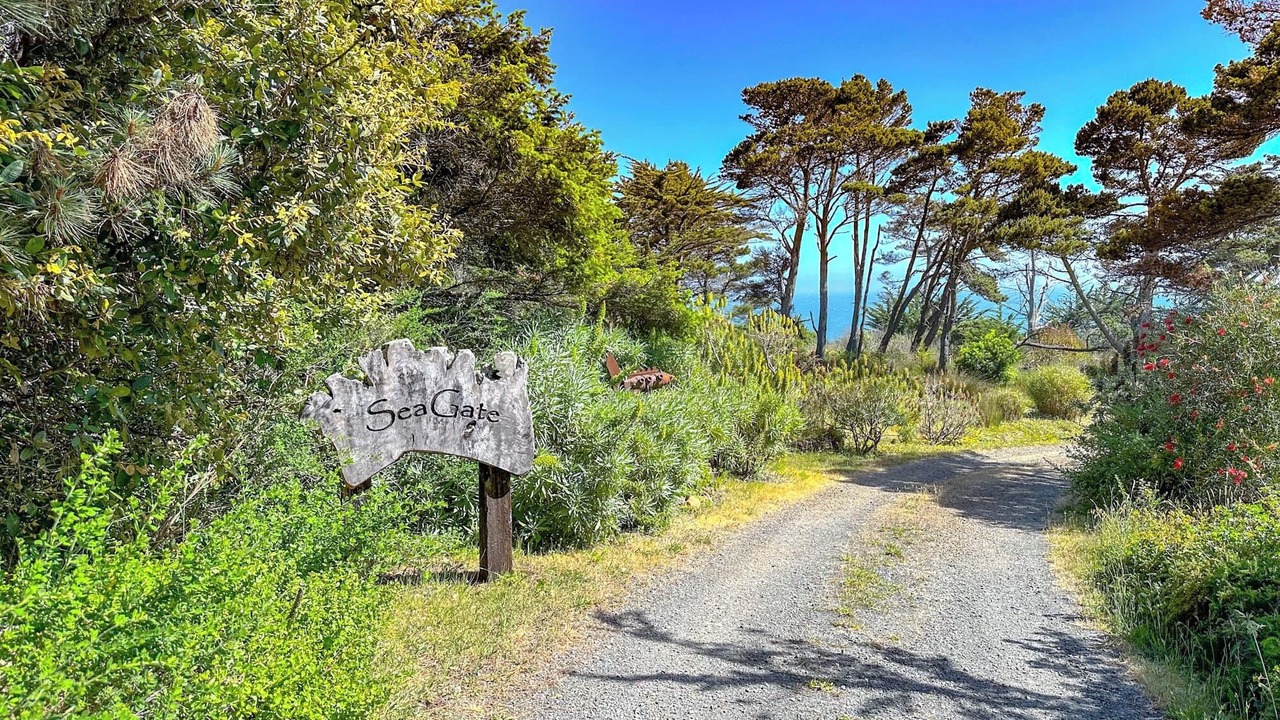 Photo of Outdoor in Gualala