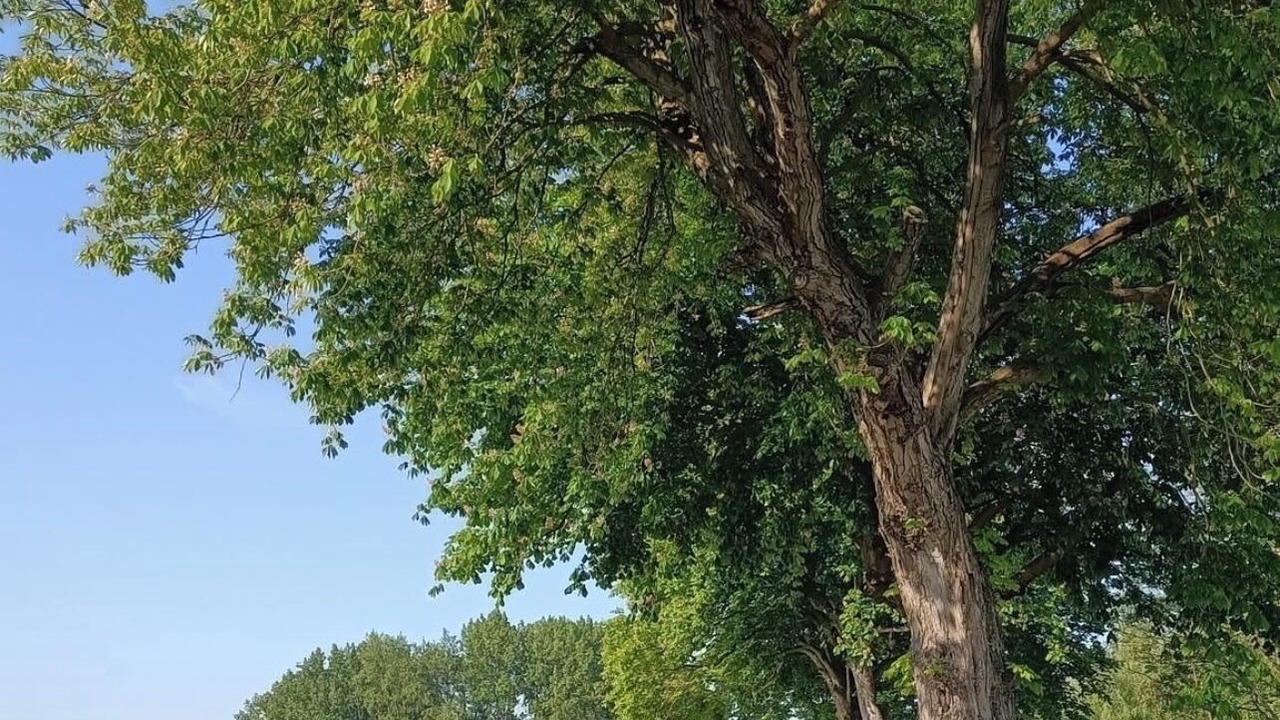 Photo of Others in Houlle