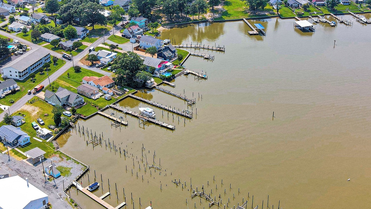 Photo of Others in Colonial Beach