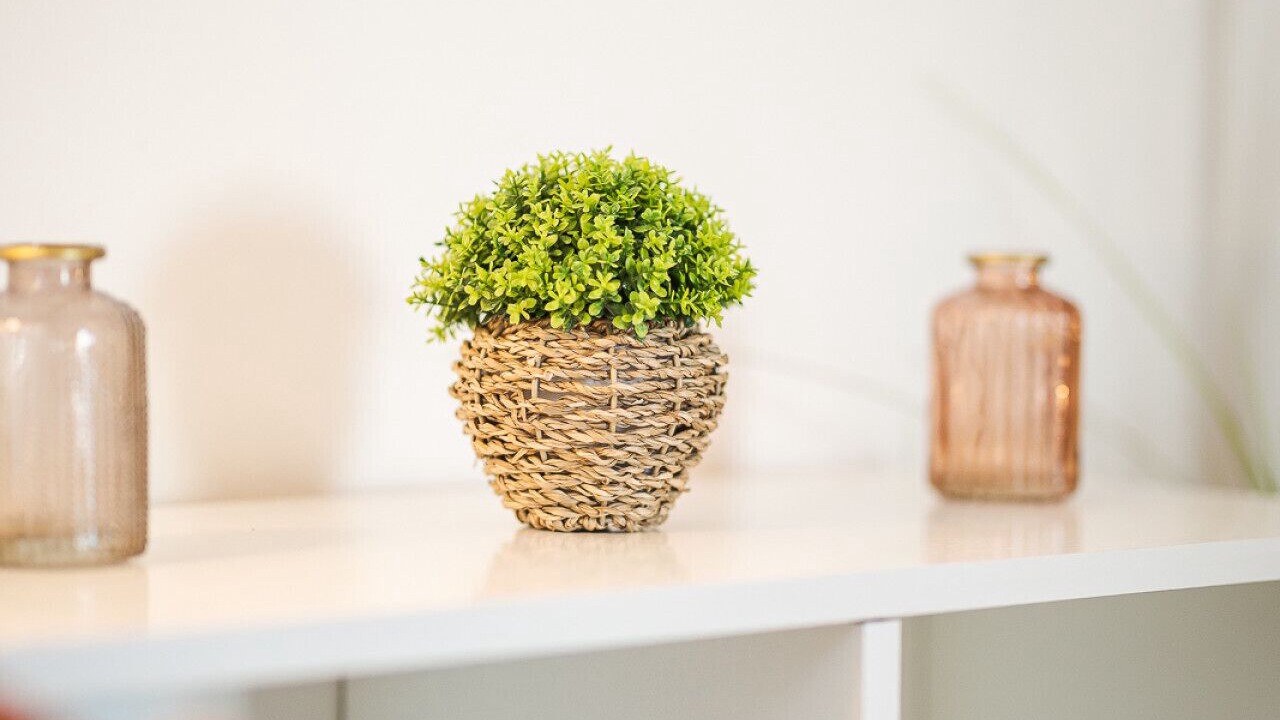 Photo of Others in Moret-sur-Loing