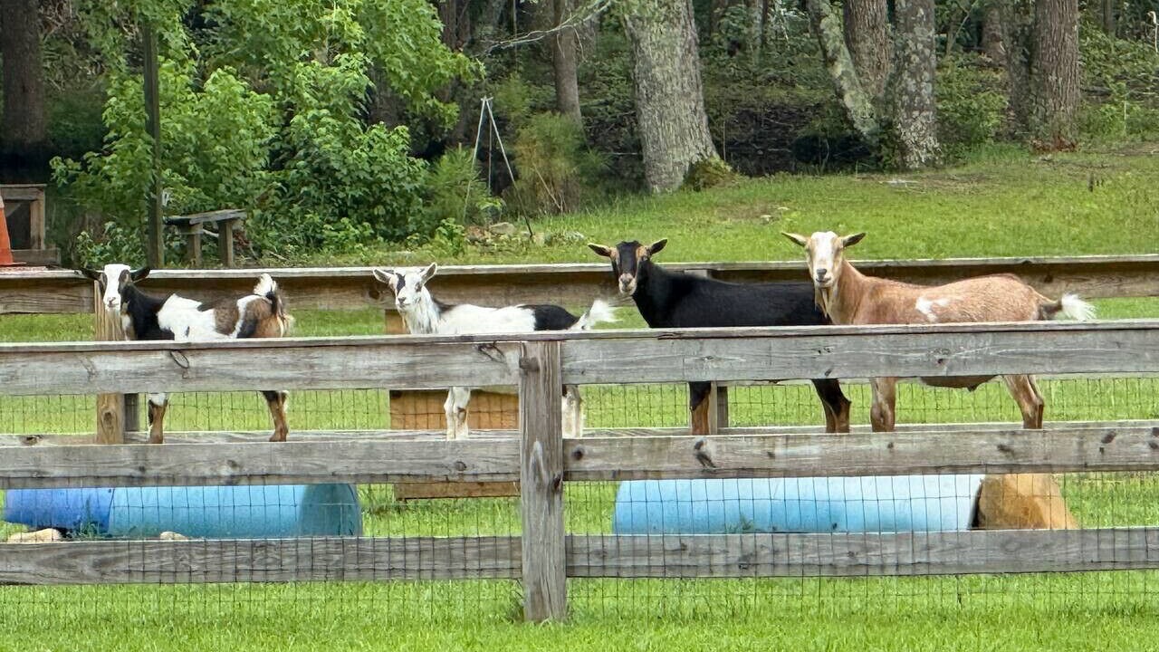 Photo of Others in Littleton