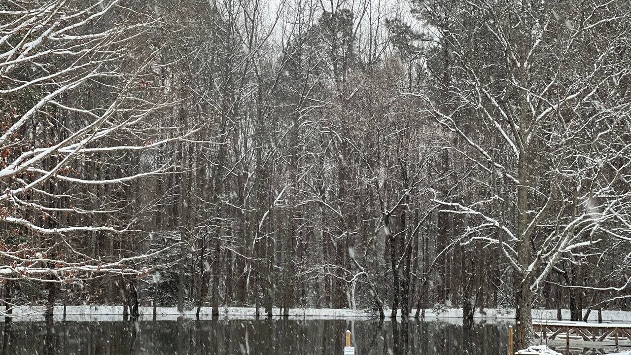 Photo of Others in Littleton