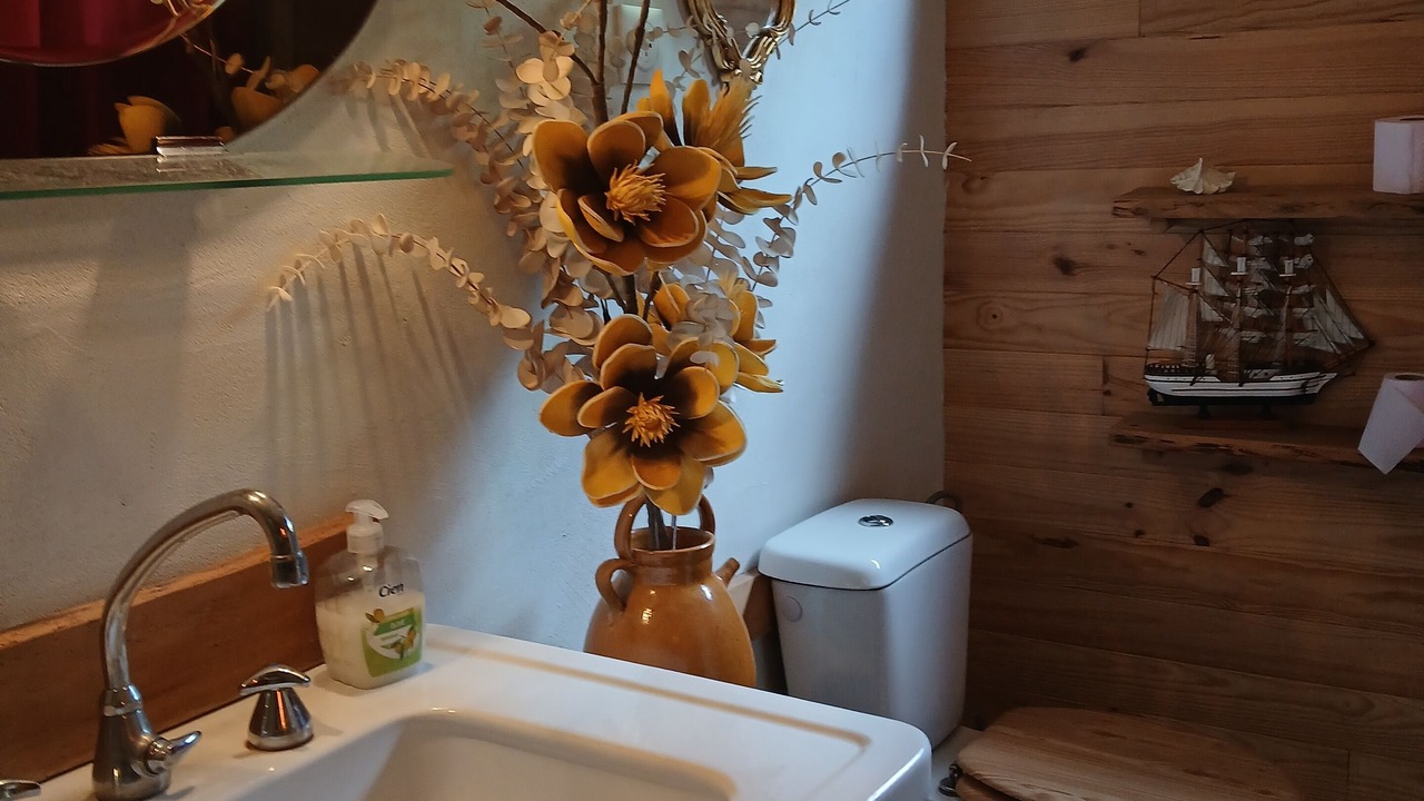 Photo of Bathroom in Boussoulet
