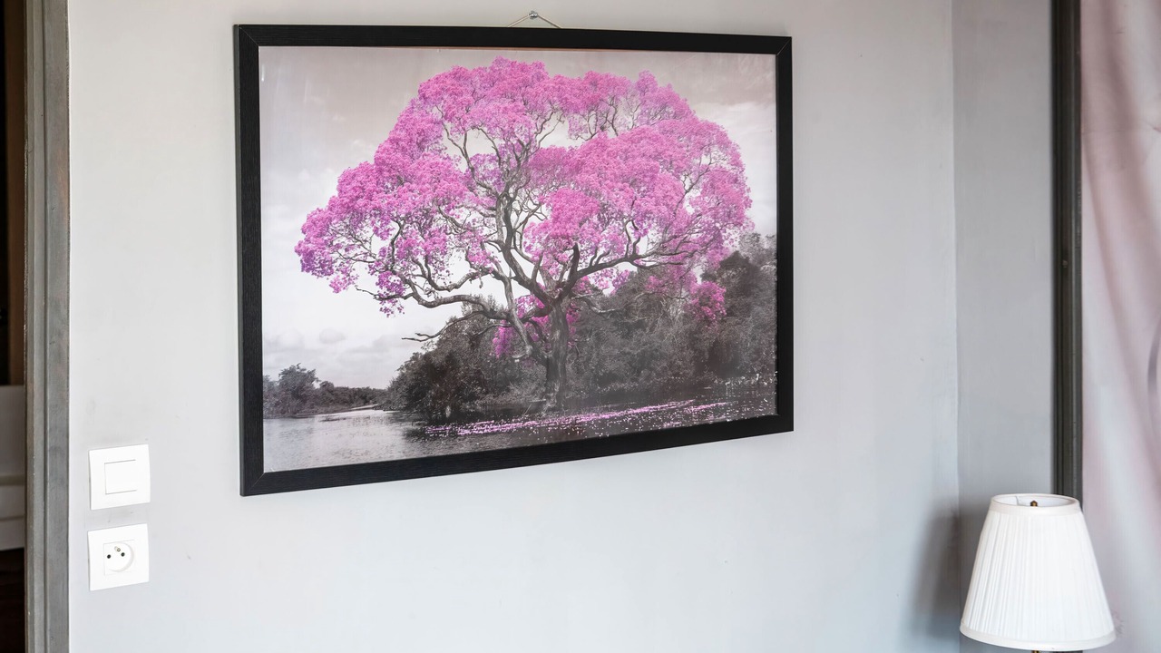 Photo of Others in Le Fraysse