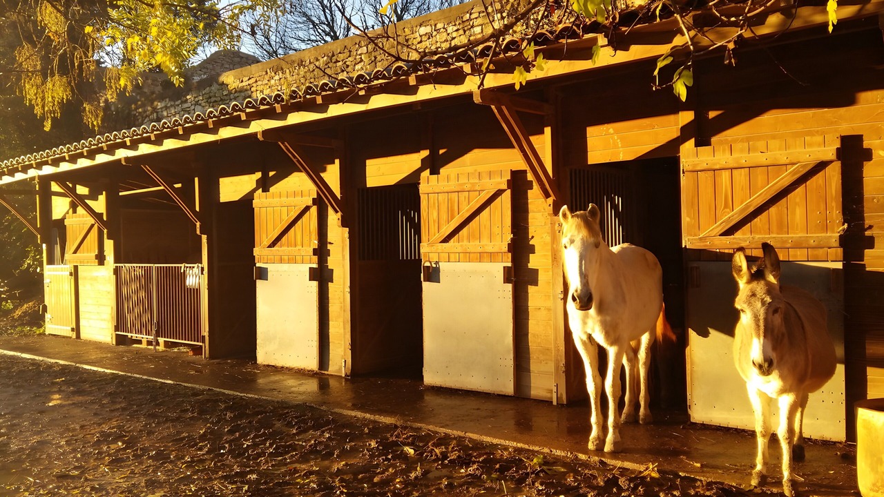 Photo of Outdoor in Bernis