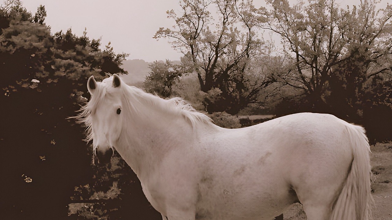 Photo of Others in Bernis