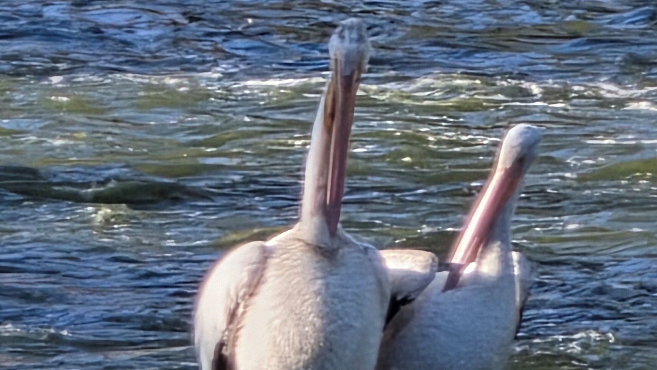 Photo of Others in Downtown Klamath Falls