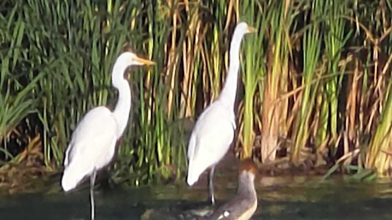 Photo of Others in Downtown Klamath Falls