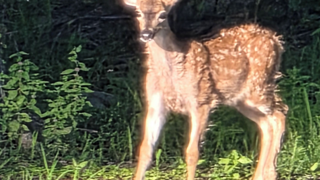 Photo of Others in Downtown Klamath Falls
