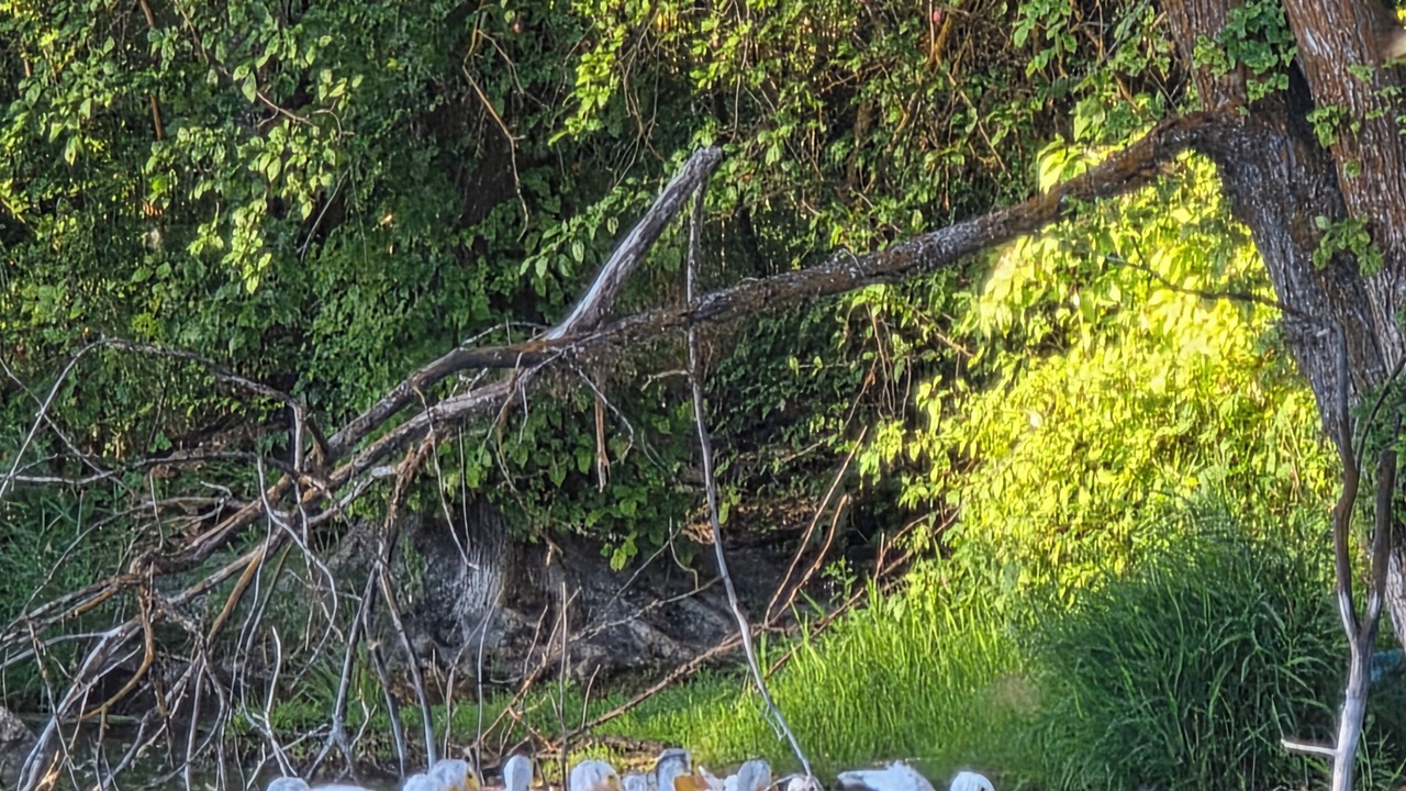 Photo of Others in Downtown Klamath Falls