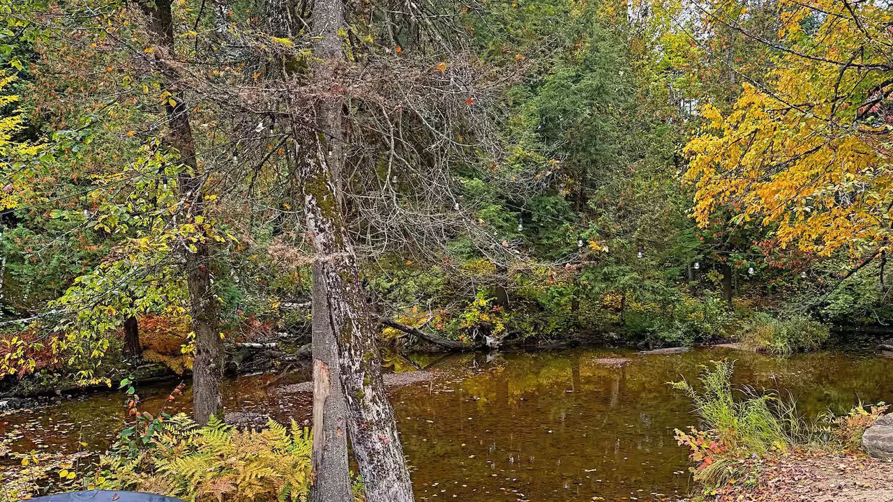 Photo of Others in Amherst