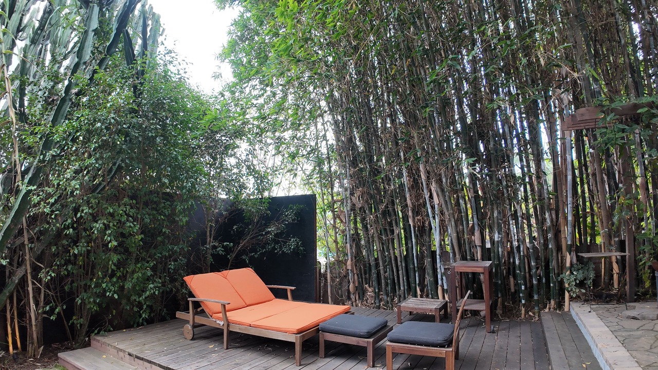 Photo of Patio Balcony in Silver Lake
