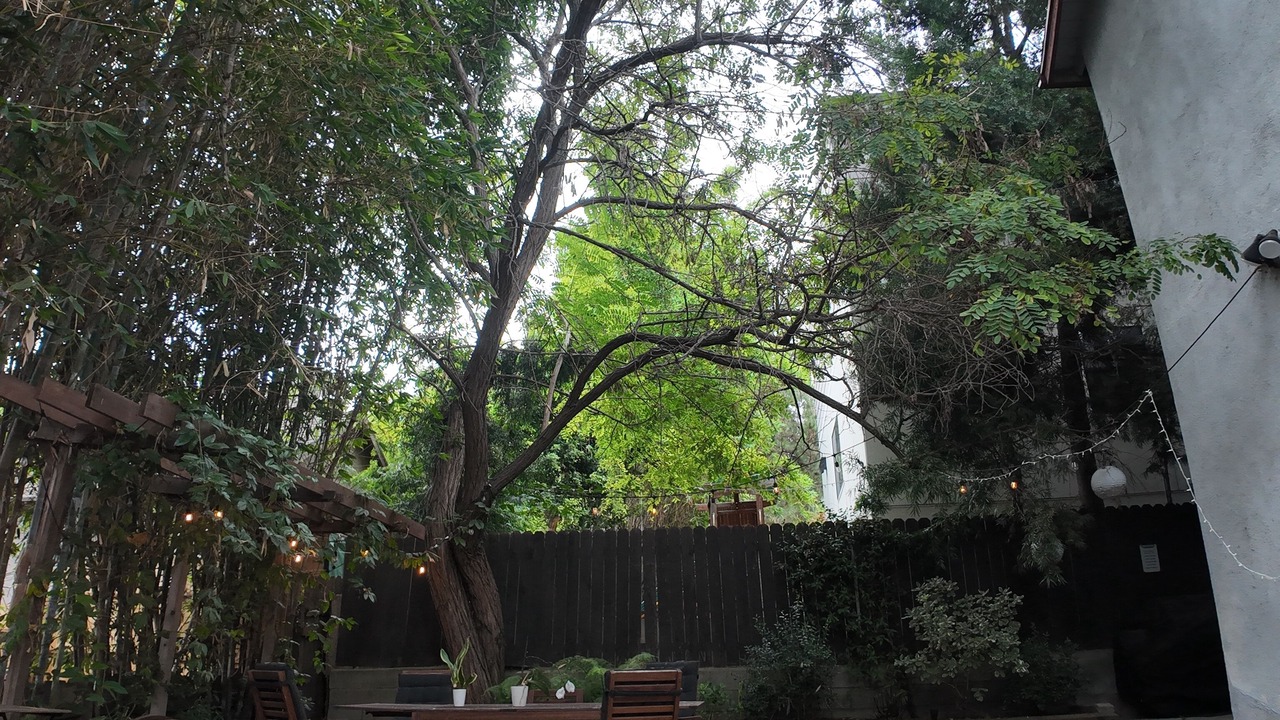 Photo of Outdoor in Silver Lake