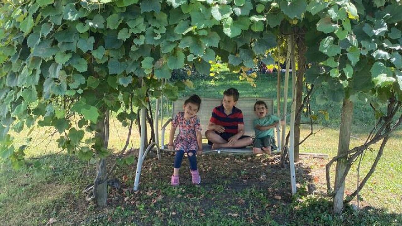 Photo of Outdoor in Adrian
