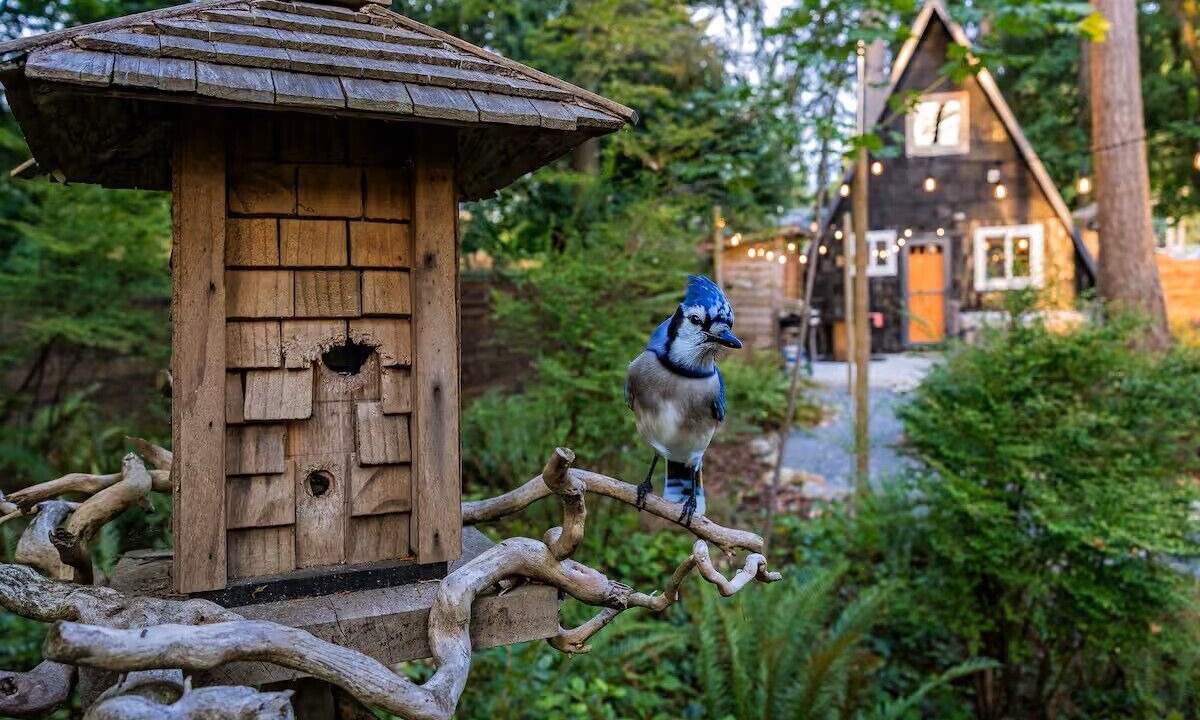 Photo of Outdoor in Jordan Road-Canyon Creek