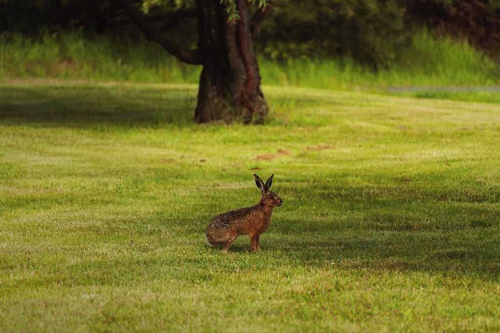 Photo of Others in Kyneton