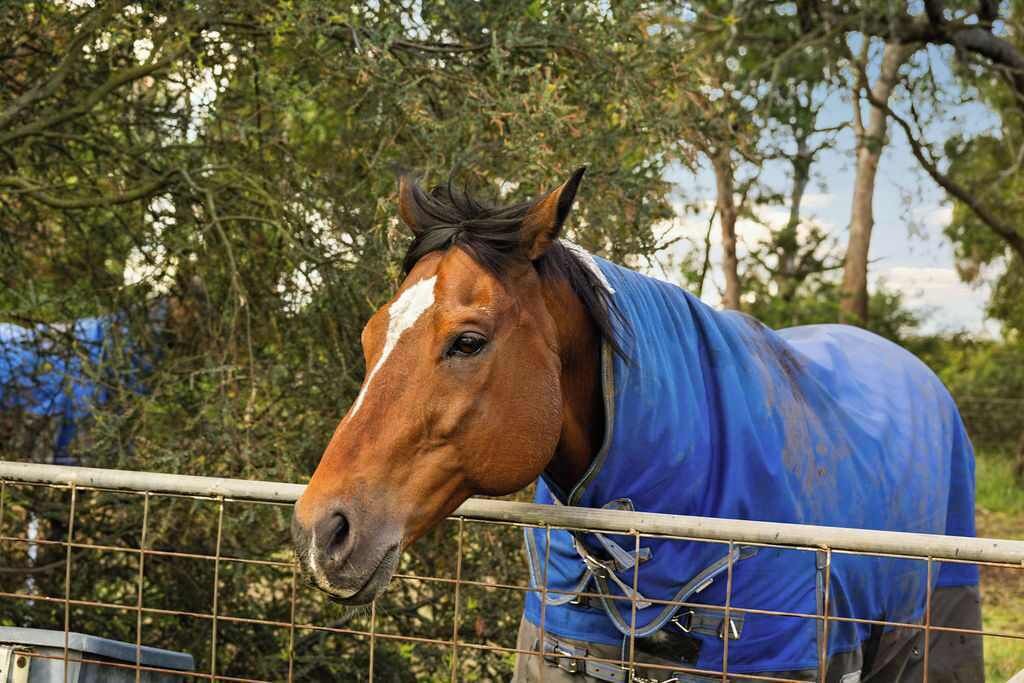 Photo of Others in Kyneton