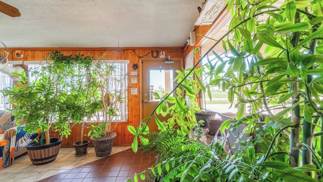 Photo of Others in Vernon
