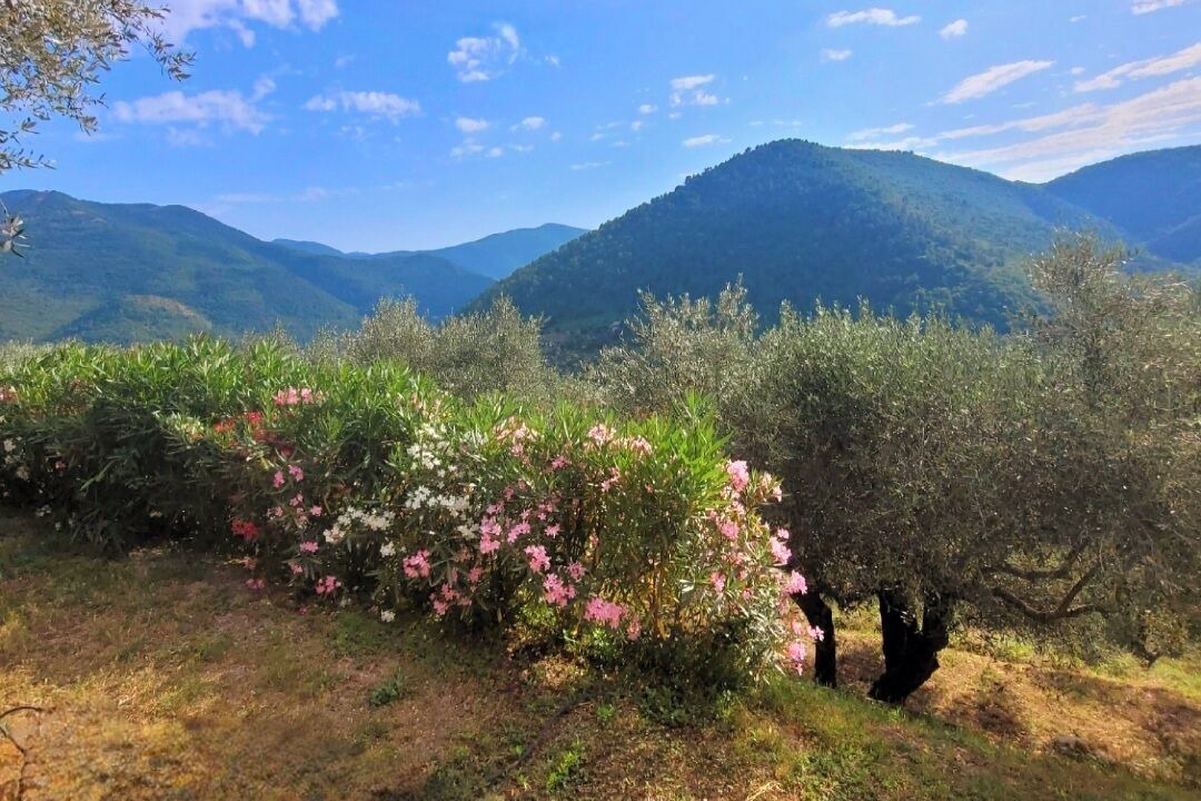 Photo of Others in Bouvet Island