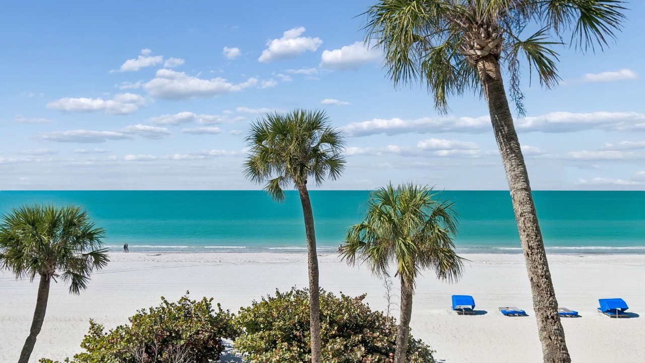 Photo of Others in Indian Shores