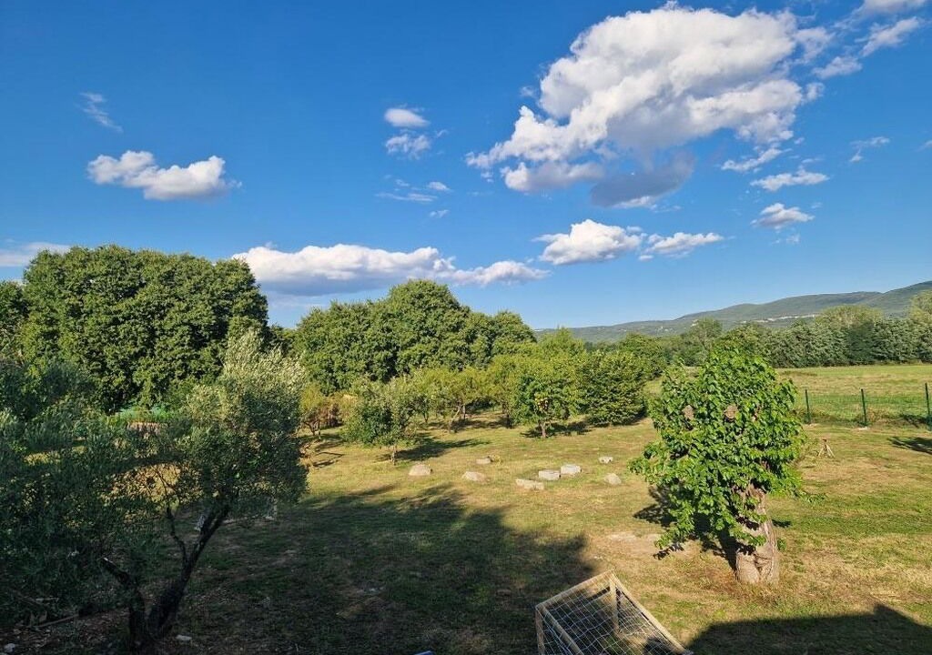 Photo of Others in Chandolas