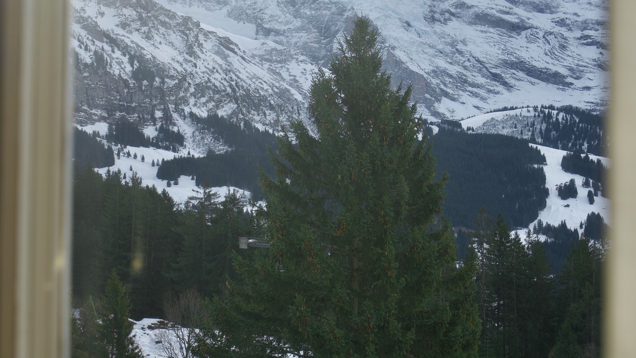 Photo of Others in Wengen