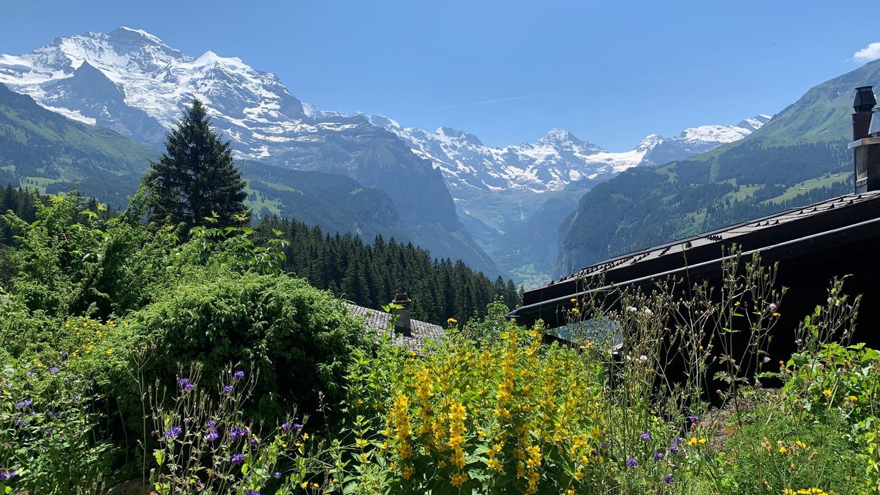 Photo of Others in Wengen
