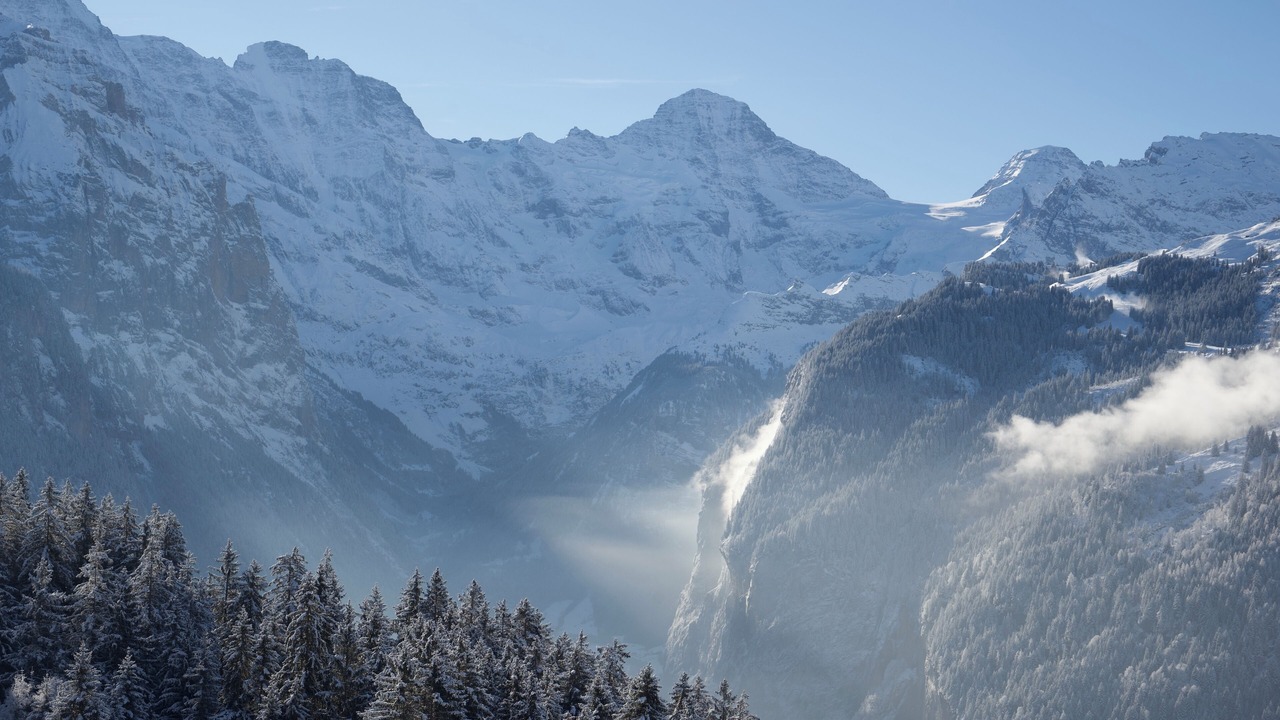 Photo of Others in Wengen