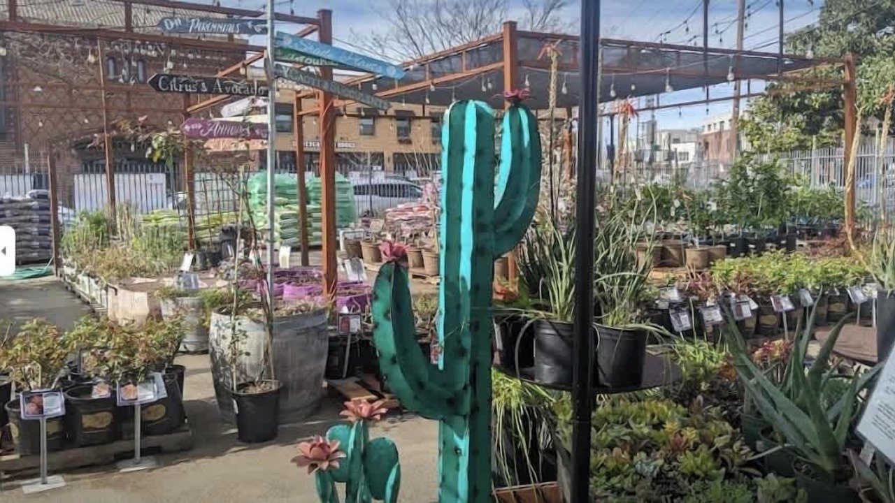 Photo of Outdoor in Central Sacramento