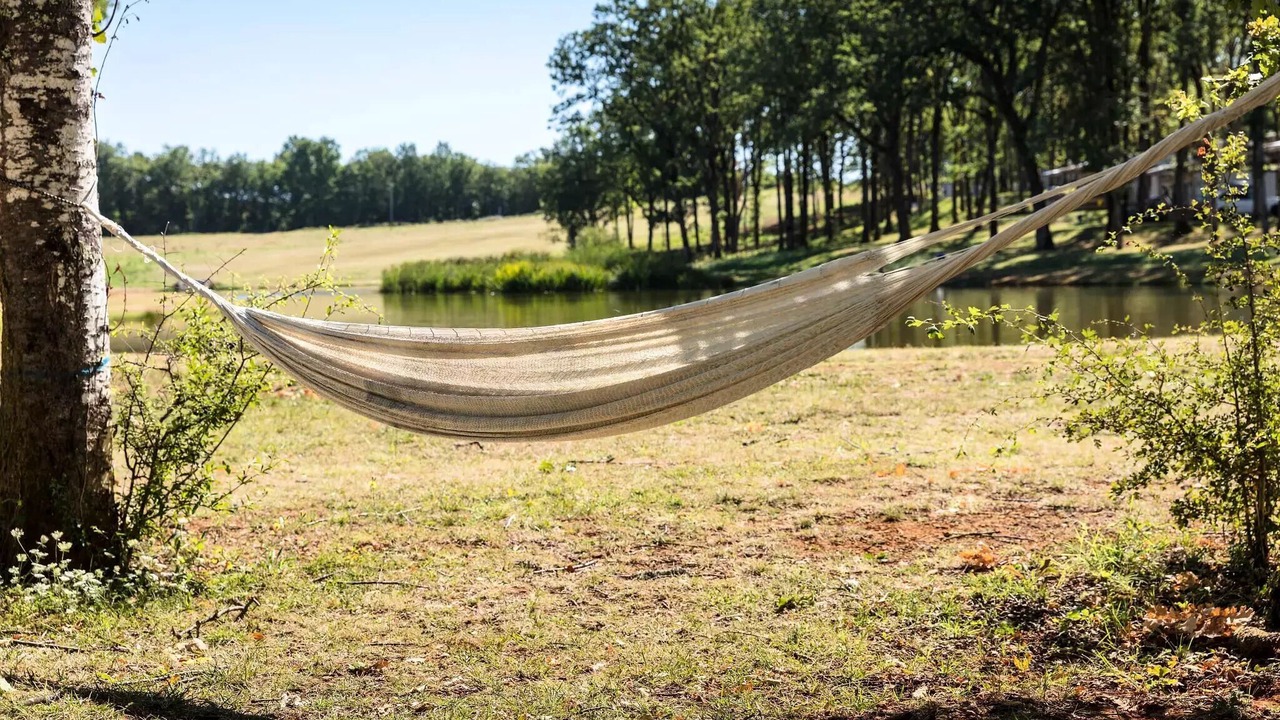 Photo of Others in Saint-Avit-de-Vialard