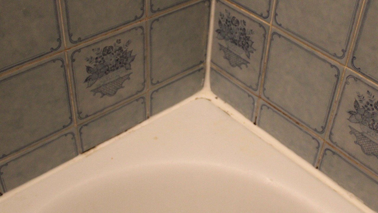 Photo of Others in Vanves