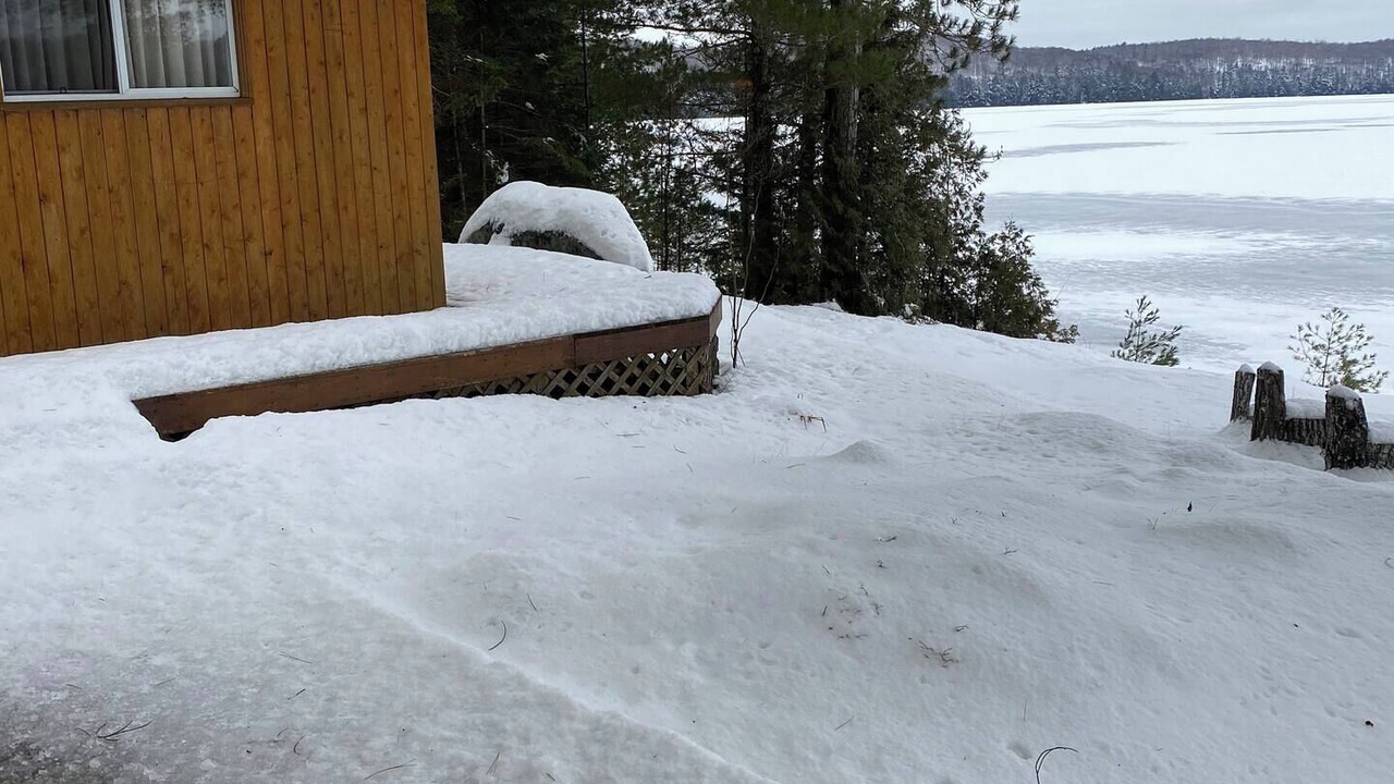 Photo of Outdoor in Harcourt