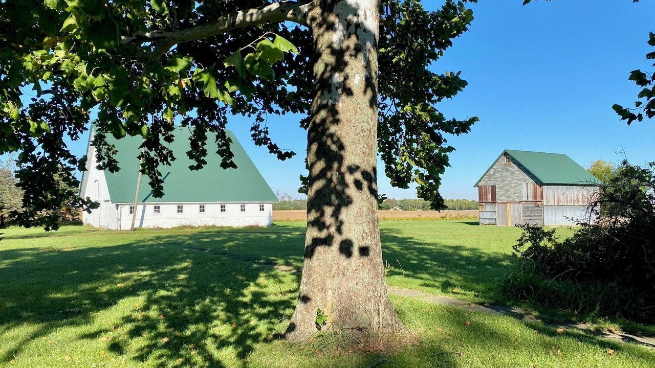 Photo of Outdoor in Cropsey