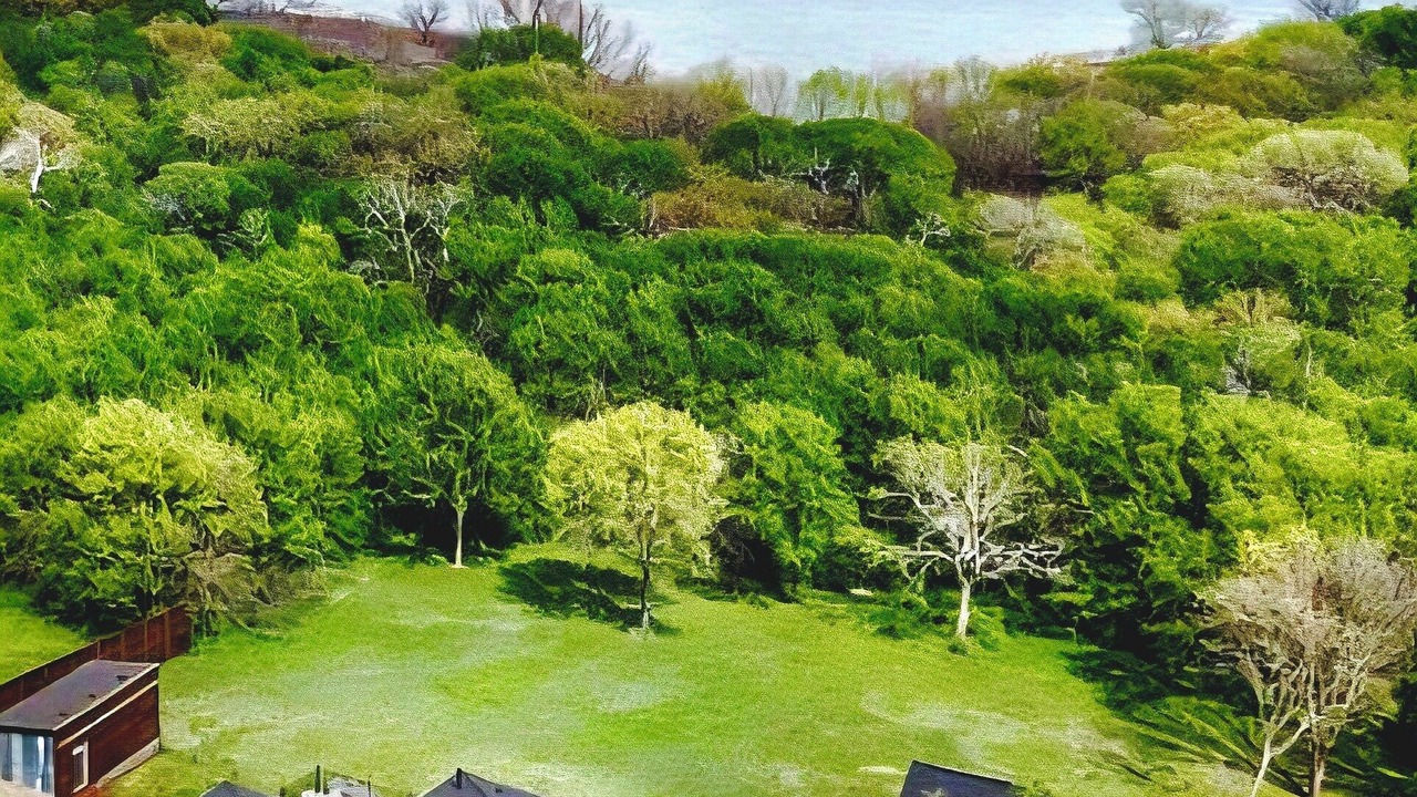 Photo of Outdoor in Little Elm