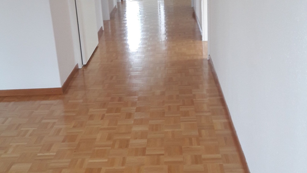Photo of Others in Uster District