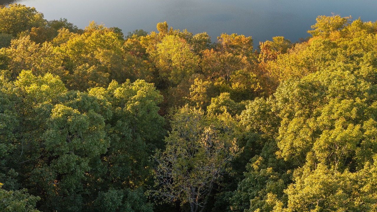 Photo of Outdoor in Mount Nebo