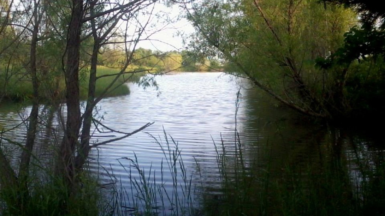 Photo of Others in Centerville