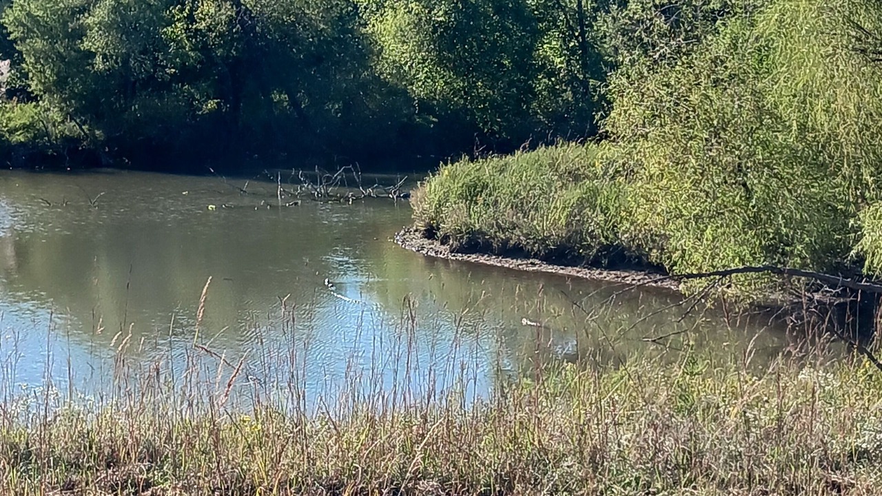 Photo of Others in Centerville