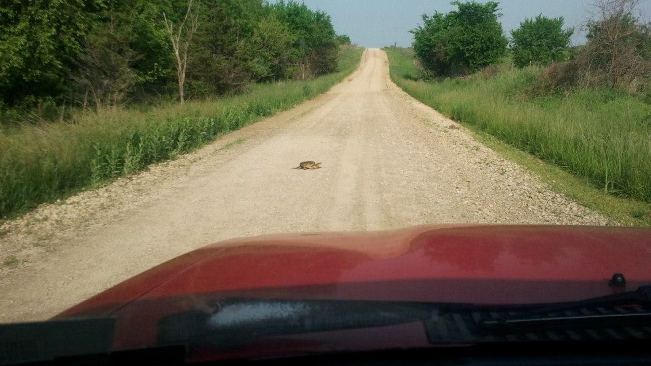 Photo of Others in Centerville